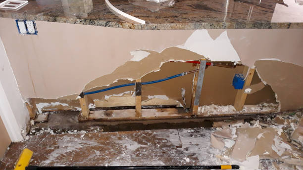 Best Water damage contractors near me  in Awendaw, SC
