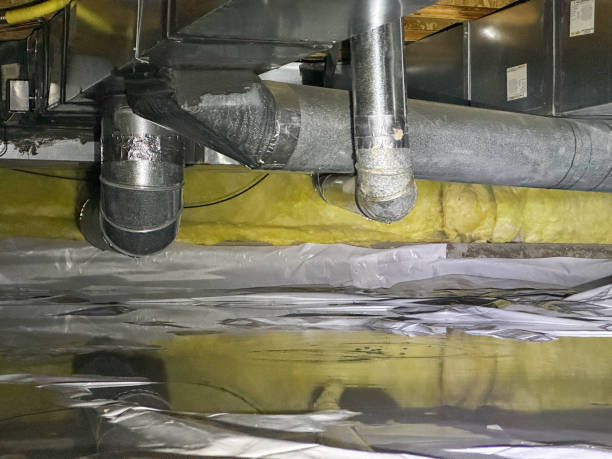 Best Water damage cleanup near me  in Awendaw, SC