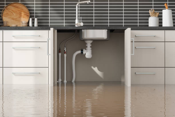 Best Residential water damage restoration  in Awendaw, SC
