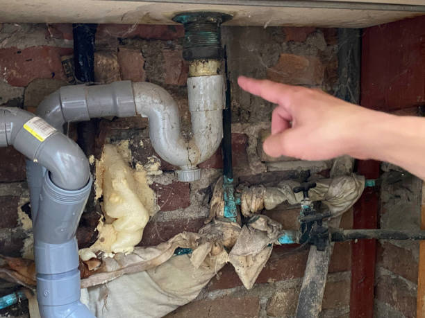Water damage restoration mold remediation in Awendaw, SC