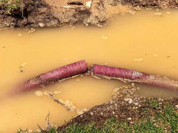 Trusted Awendaw, SC Water damage restoration Experts